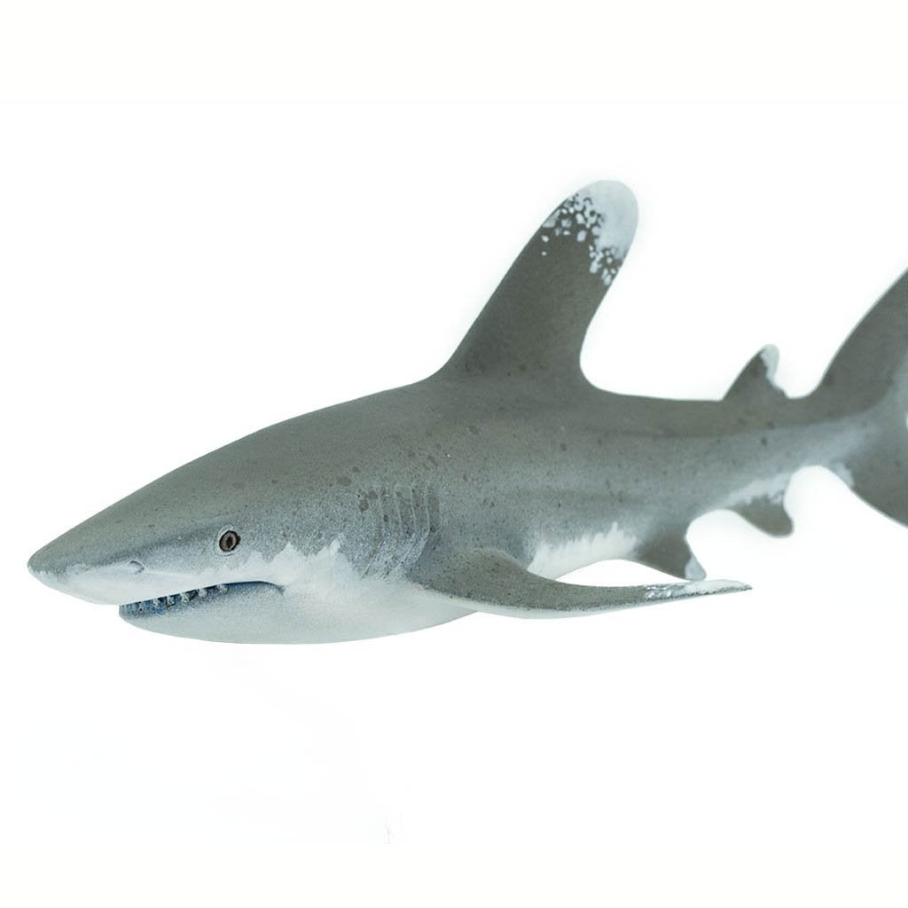 Safari Ltd Ocean Whitetip Shark-SAF100271-Animal Kingdoms Toy Store