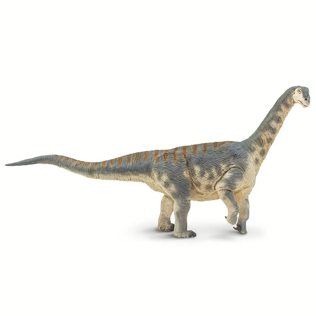Safari Ltd Camarasaurus-SAF100309-Animal Kingdoms Toy Store