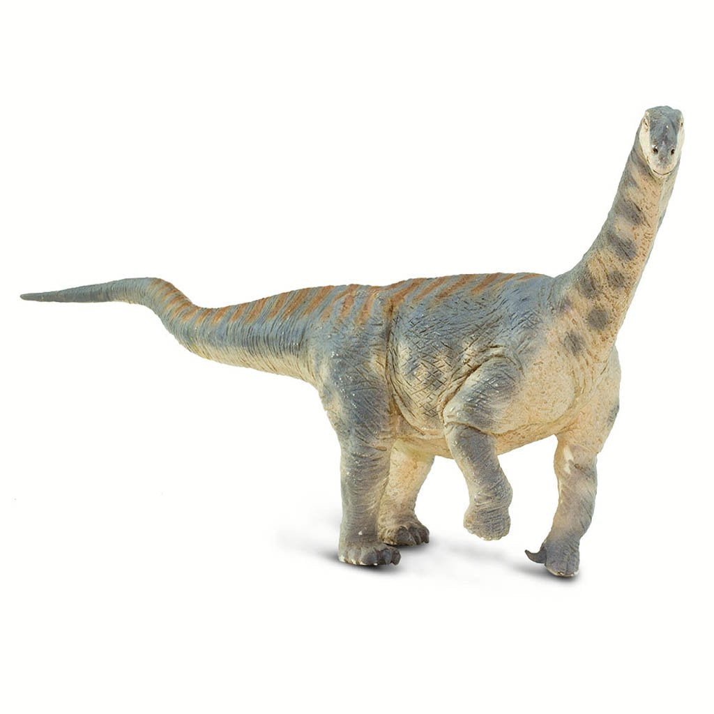 Safari Ltd Camarasaurus-SAF100309-Animal Kingdoms Toy Store