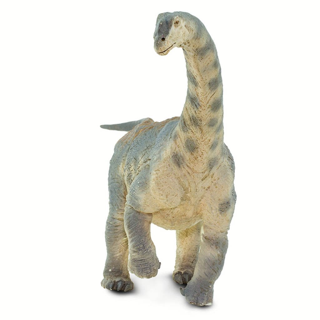 Safari Ltd Camarasaurus-SAF100309-Animal Kingdoms Toy Store