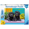 Ravensburger Puppy Life 300pc Puzzle-RB12950-8-Animal Kingdoms Toy Store