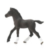 Schleich Arabian Foal-13762-Animal Kingdoms Toy Store
