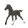 Schleich Arabian Foal-13762-Animal Kingdoms Toy Store