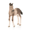 Schleich Andalusian Foal-13822-Animal Kingdoms Toy Store