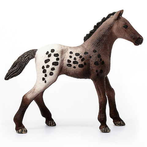 Schleich Appaloosa Foal-13862-Animal Kingdoms Toy Store