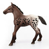 Schleich Appaloosa Foal-13862-Animal Kingdoms Toy Store