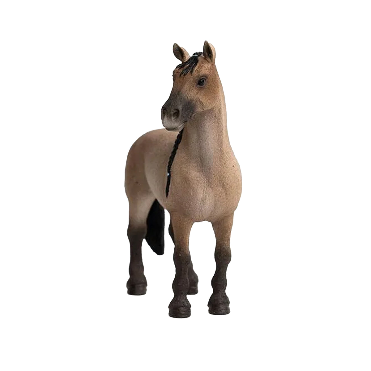 Schleich Criollo Mare
