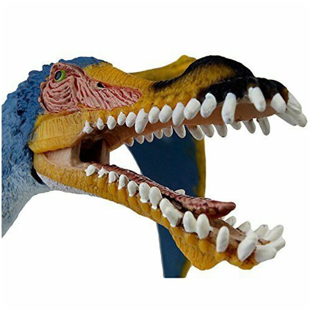 Schleich Anhanguera-14540-Animal Kingdoms Toy Store