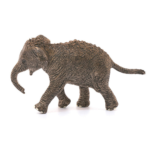 Schleich Asian Elephant Calf-14755-Animal Kingdoms Toy Store