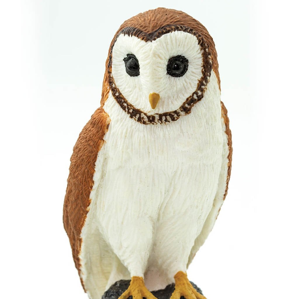 Safari Ltd Barn Owl-SAF150029-Animal Kingdoms Toy Store