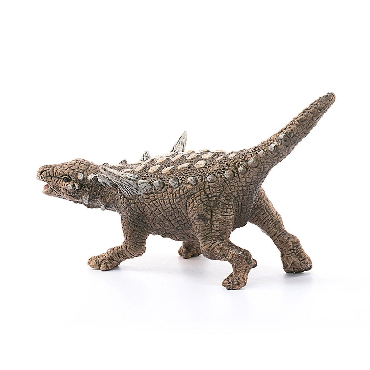 Schleich Animantarx-15013-Animal Kingdoms Toy Store