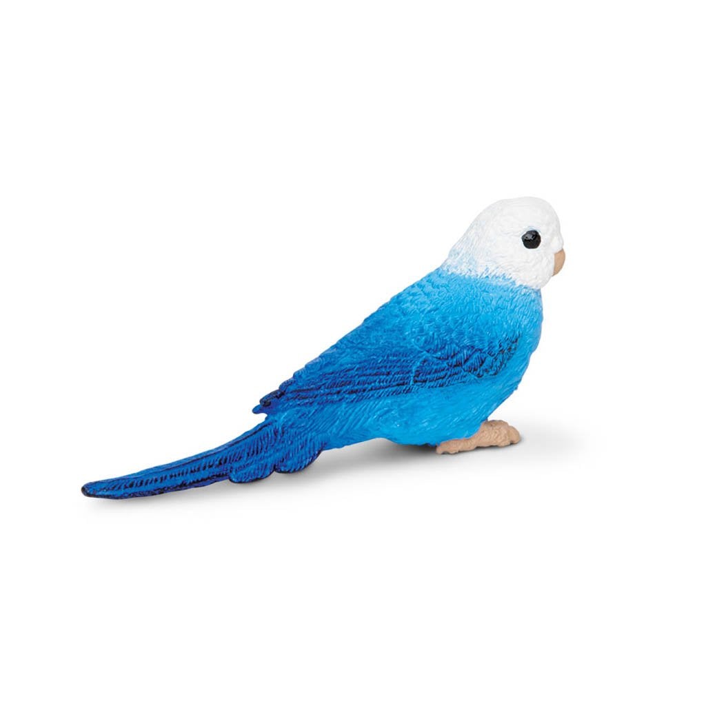 Safari Ltd Blue Budgie-SAF150629-Animal Kingdoms Toy Store