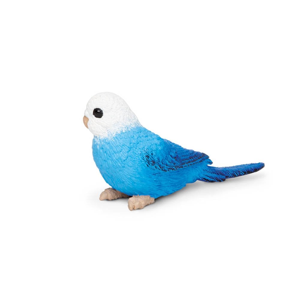 Safari Ltd Blue Budgie-SAF150629-Animal Kingdoms Toy Store