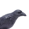 Safari Ltd Raven-SAF150829-Animal Kingdoms Toy Store