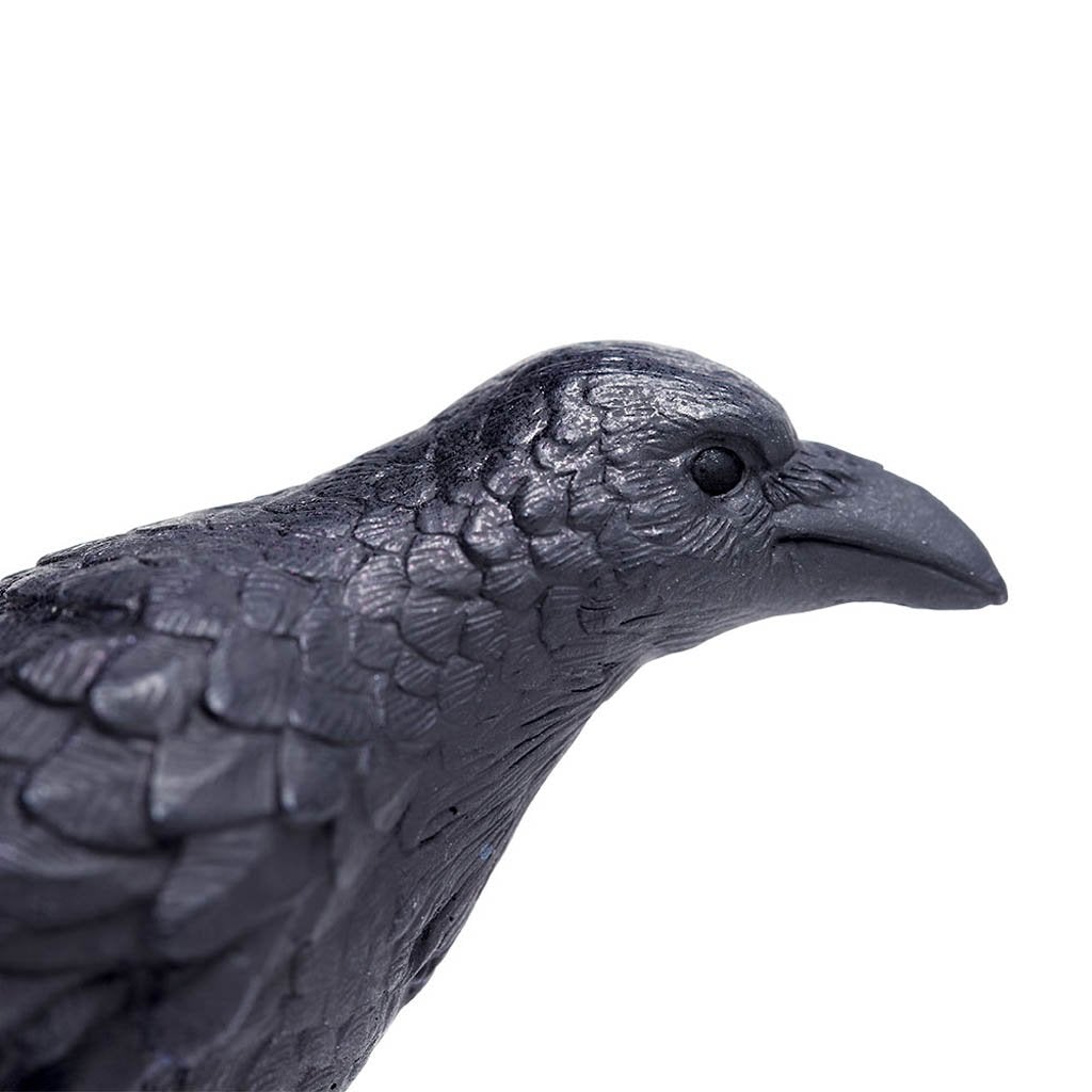 Safari Ltd Raven-SAF150829-Animal Kingdoms Toy Store