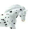 Safari Ltd Knabstrupper-SAF152905-Animal Kingdoms Toy Store