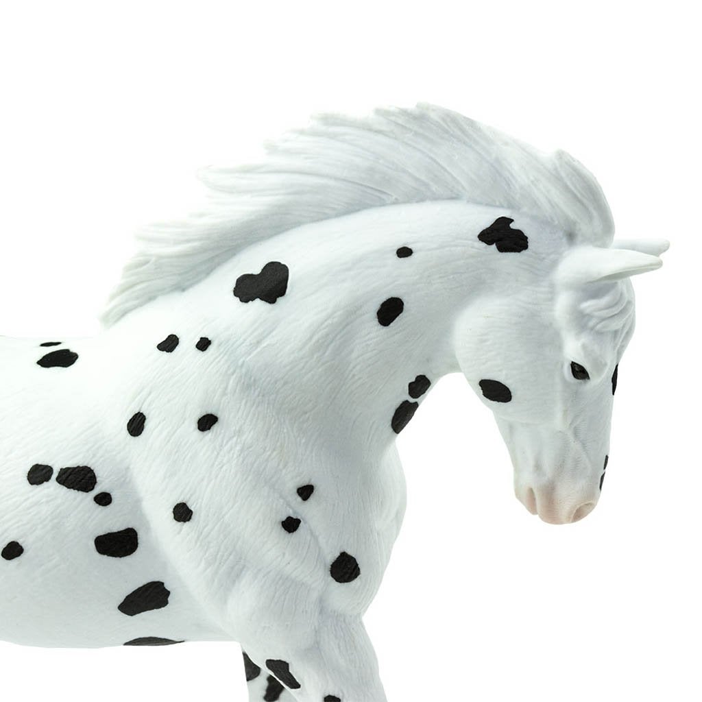 Safari Ltd Knabstrupper-SAF152905-Animal Kingdoms Toy Store