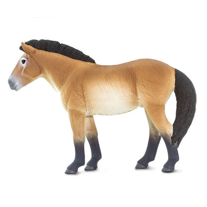 Safari Ltd Przewalskis Horse-SAF153505-Animal Kingdoms Toy Store