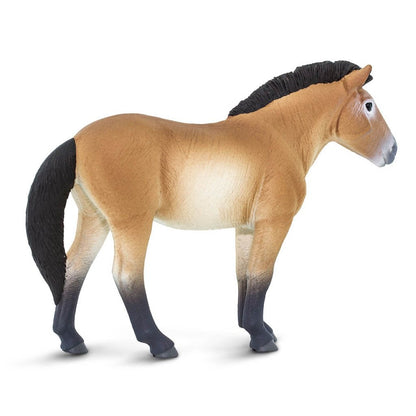 Safari Ltd Przewalskis Horse-SAF153505-Animal Kingdoms Toy Store