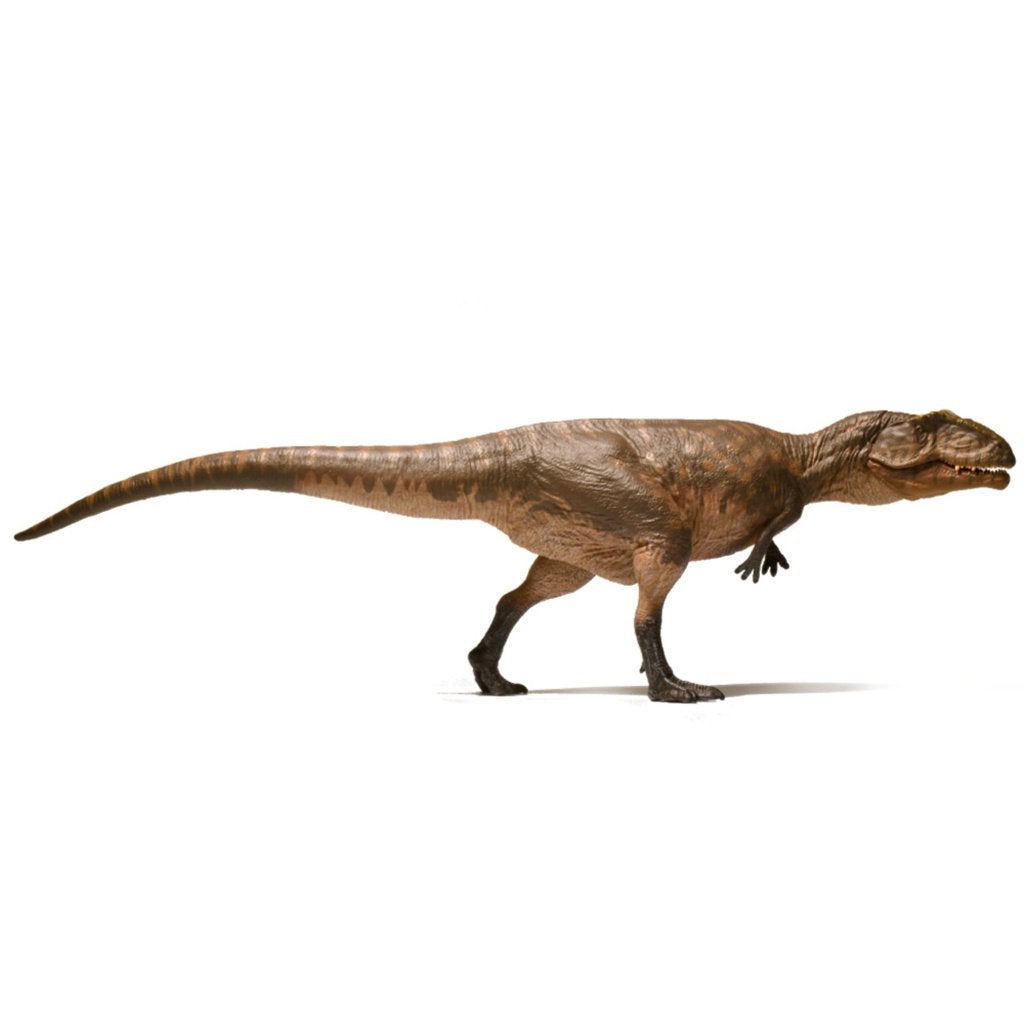 Eofauna Giganotosaurus-003-Animal Kingdoms Toy Store