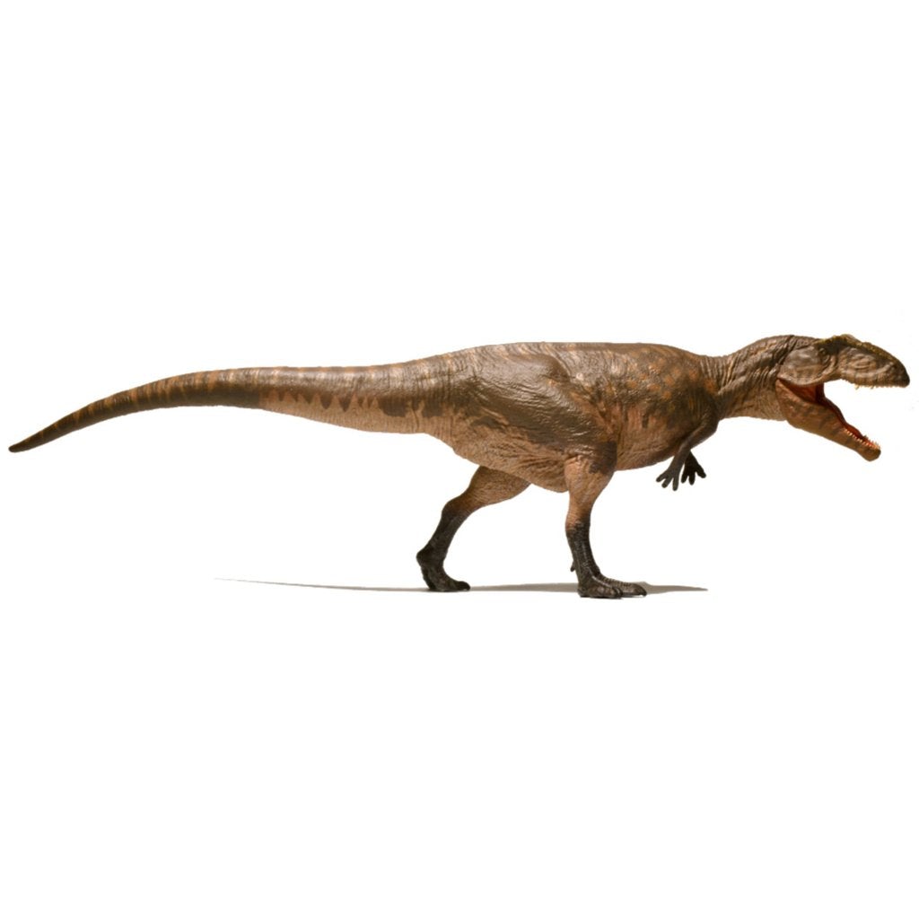 Eofauna Giganotosaurus-003-Animal Kingdoms Toy Store
