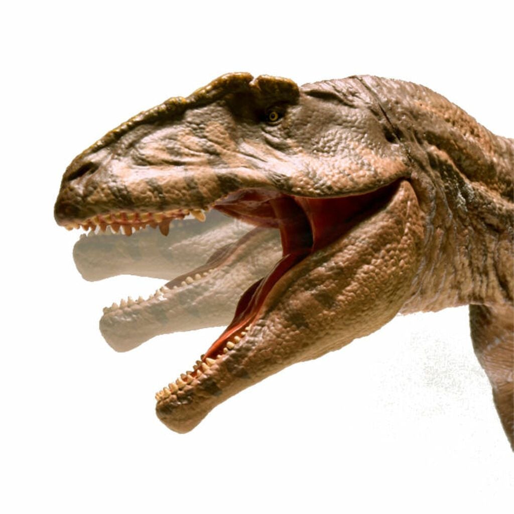 Eofauna Giganotosaurus-003-Animal Kingdoms Toy Store