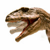 Eofauna Giganotosaurus-003-Animal Kingdoms Toy Store