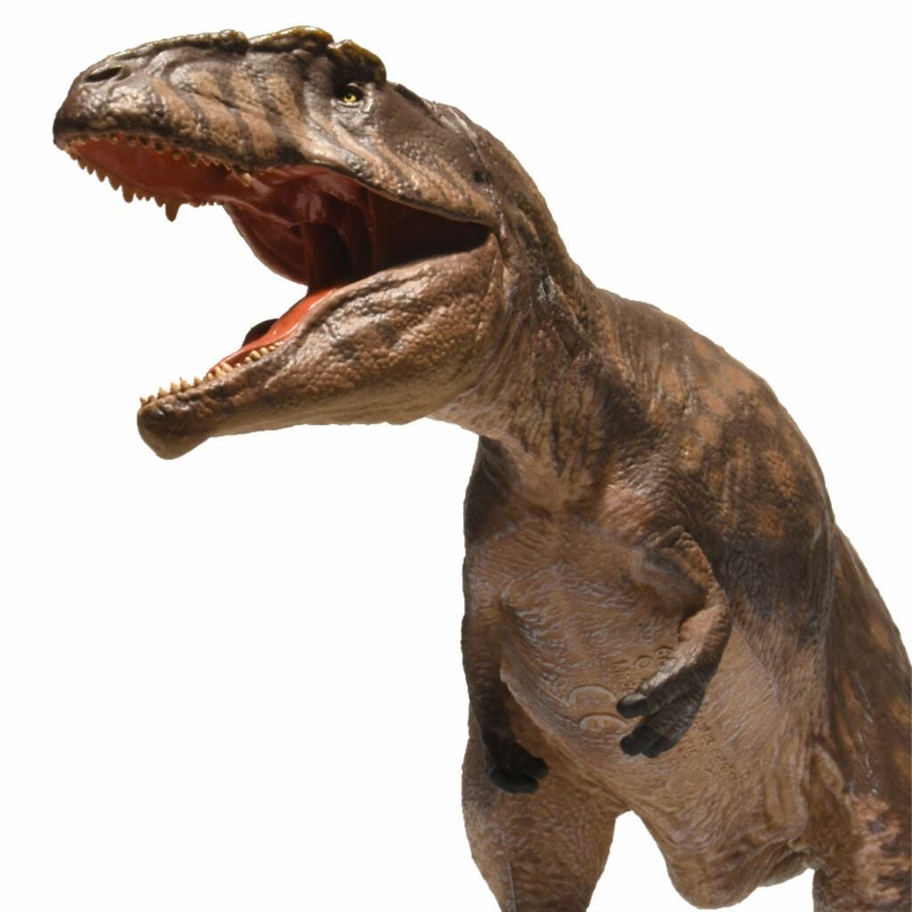 Eofauna Giganotosaurus-003-Animal Kingdoms Toy Store