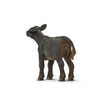 Safari Ltd Angus Calf-SAF160929-Animal Kingdoms Toy Store