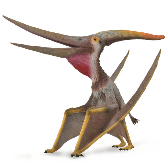 CollectA Pteranodon - with Movable Jaw Deluxe 1:15 Scale-88912-Animal Kingdoms Toy Store
