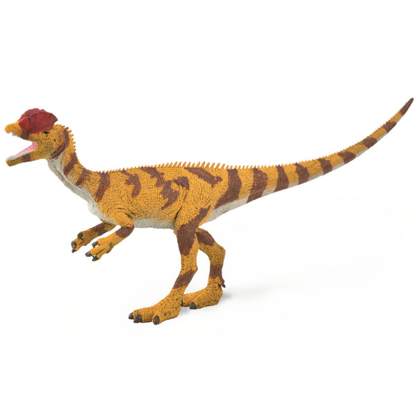 CollectA Dilophosaurus-88923-Animal Kingdoms Toy Store
