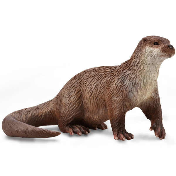 CollectA Common Otter-88941-Animal Kingdoms Toy Store