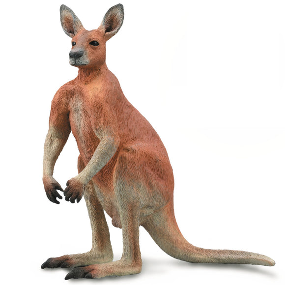 CollectA Kangaroo Male-88942-Animal Kingdoms Toy Store