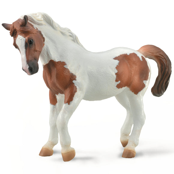 CollectA Chincoteague Pony - Chestnut Pinto-88929-Animal Kingdoms Toy Store