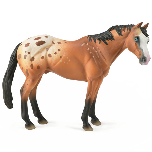 CollectA Appaloosa Stallion - light brown-88933-Animal Kingdoms Toy Store