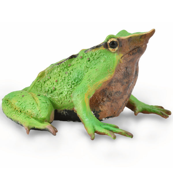 CollectA Darwin's Frog-88938-Animal Kingdoms Toy Store