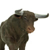 Safari Ltd Black Bull-SAF161629-Animal Kingdoms Toy Store