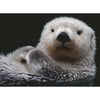 Ravensburger Adorable Little Otter Puzzle 500pc