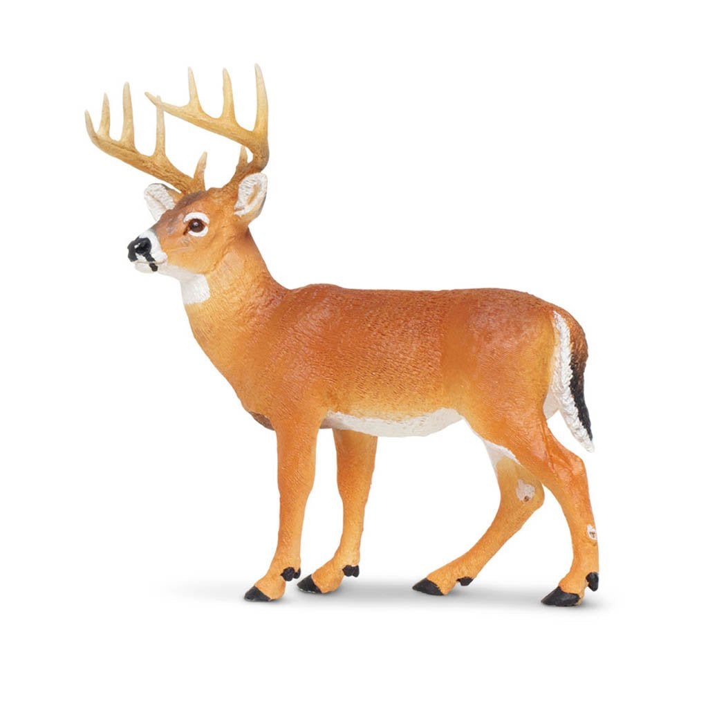 Safari Ltd Whitetail Buck-SAF180029-Animal Kingdoms Toy Store