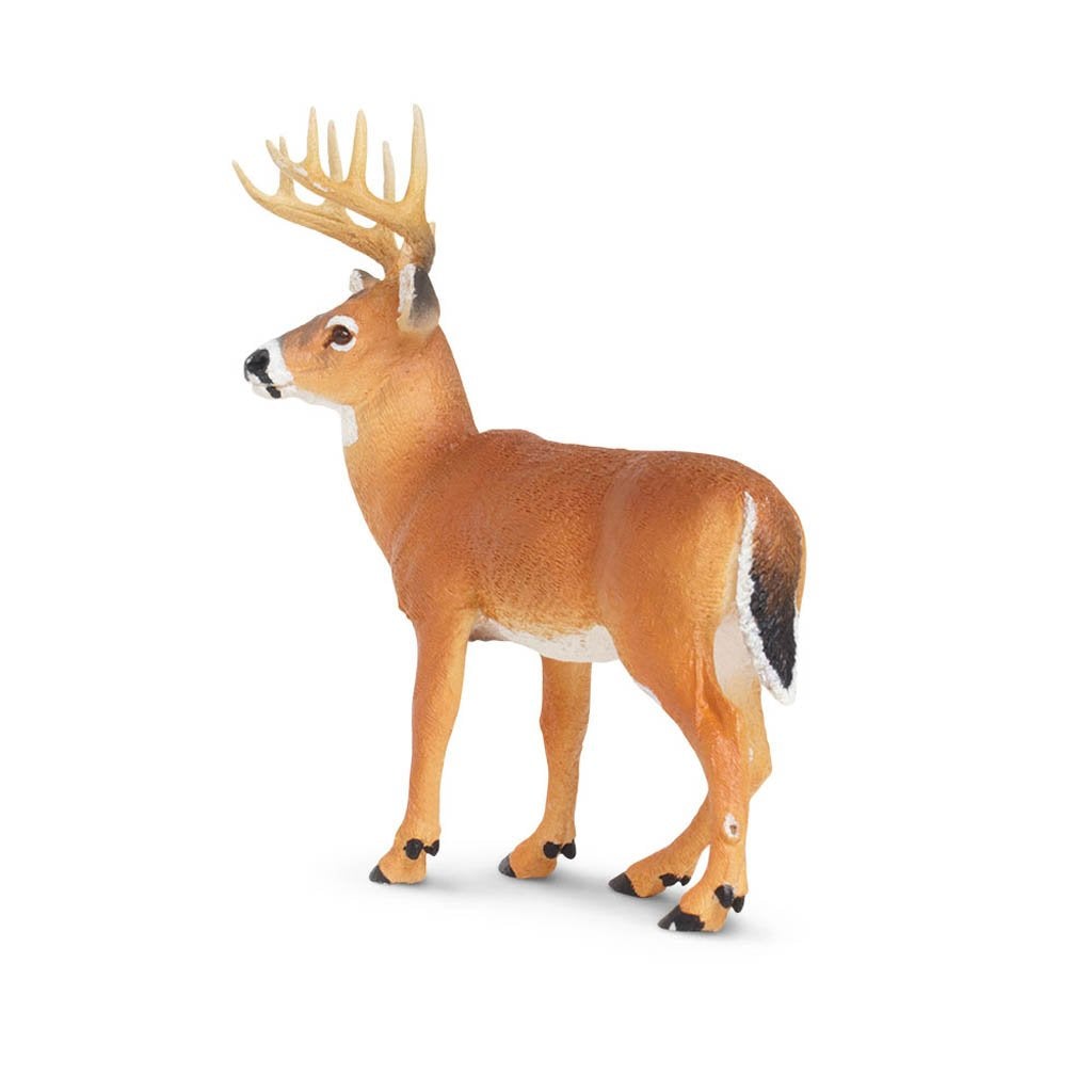 Safari Ltd Whitetail Buck-SAF180029-Animal Kingdoms Toy Store