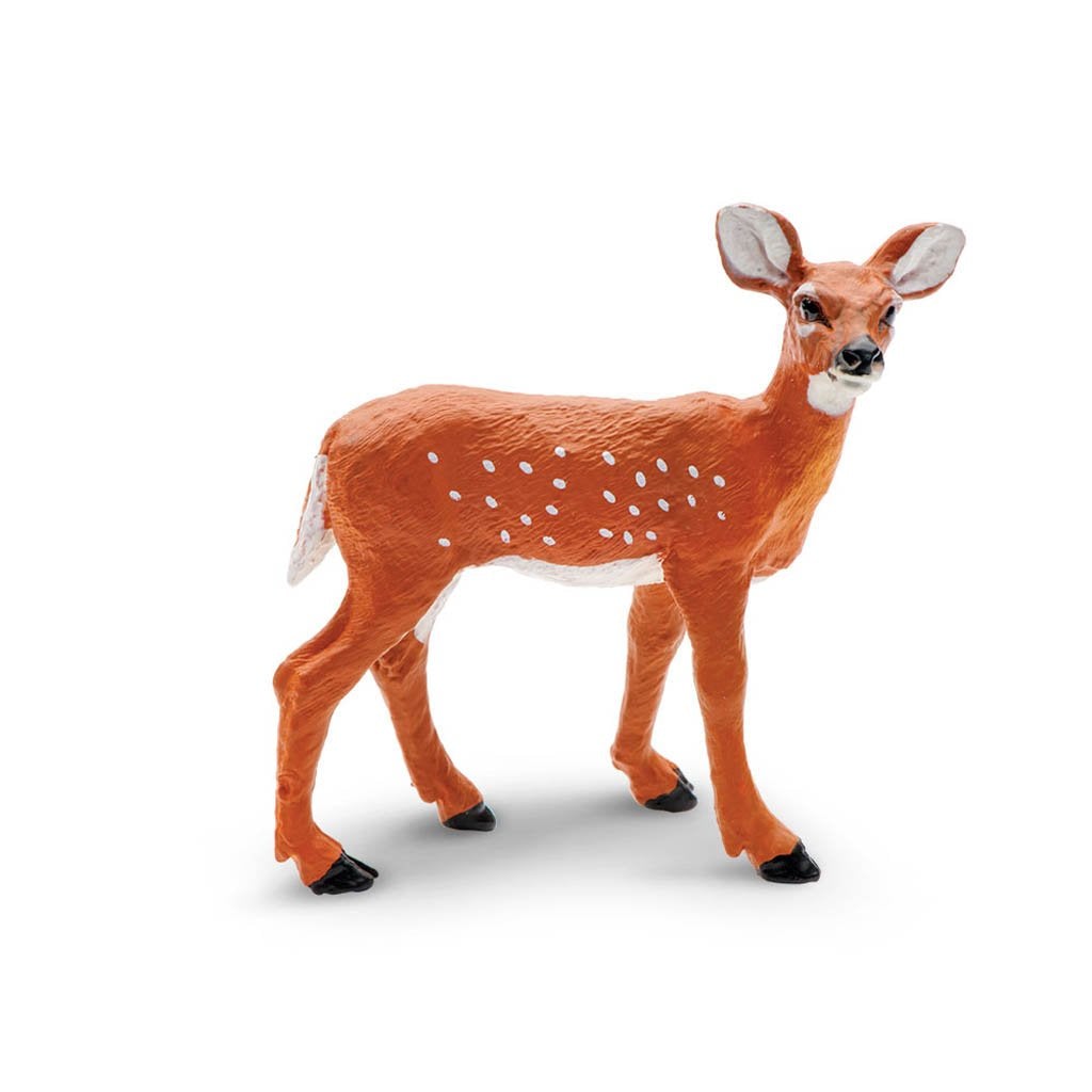 Safari Ltd Whitetail Fawn-SAF180229-Animal Kingdoms Toy Store