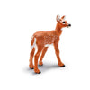 Safari Ltd Whitetail Fawn-SAF180229-Animal Kingdoms Toy Store