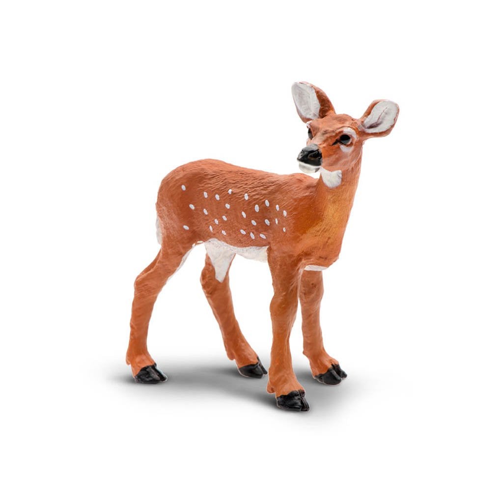 Safari Ltd Whitetail Fawn-SAF180229-Animal Kingdoms Toy Store