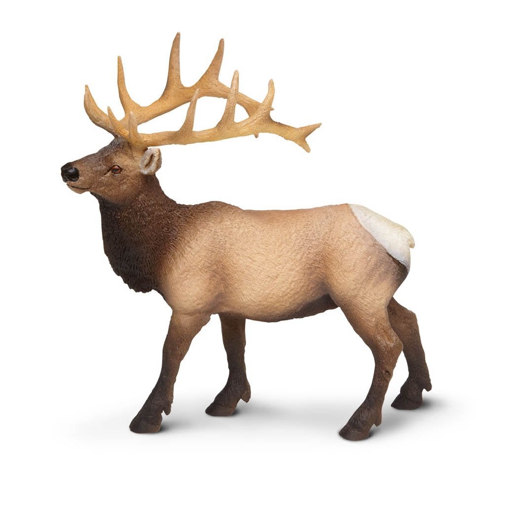Safari Ltd Elk Bull-SAF180329-Animal Kingdoms Toy Store