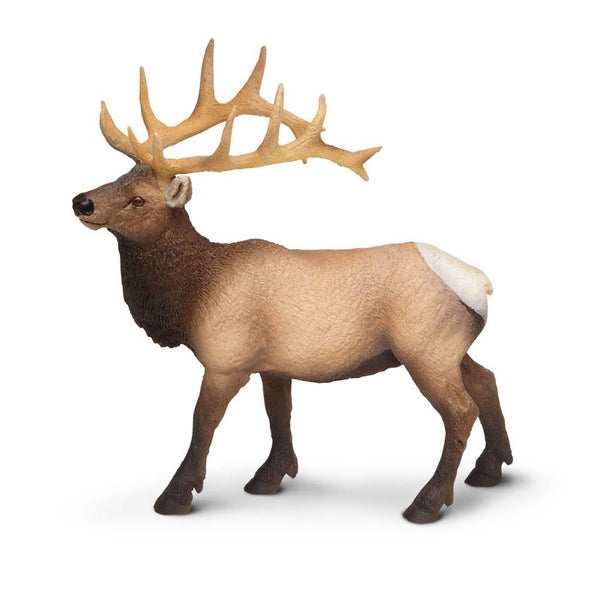 Safari Ltd Elk Bull-SAF180329-Animal Kingdoms Toy Store