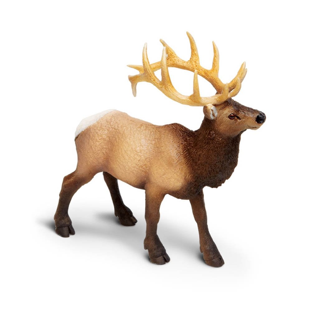 Safari Ltd Elk Bull-SAF180329-Animal Kingdoms Toy Store