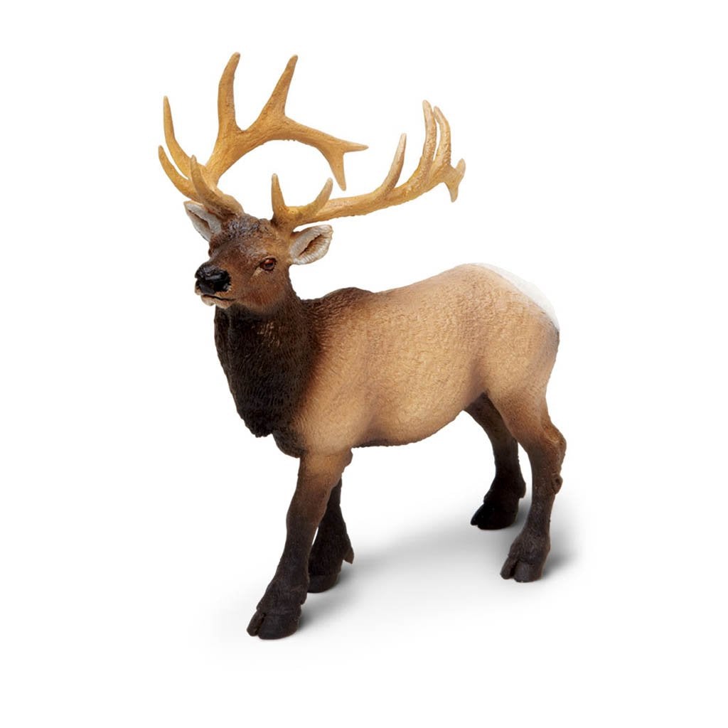 Safari Ltd Elk Bull-SAF180329-Animal Kingdoms Toy Store
