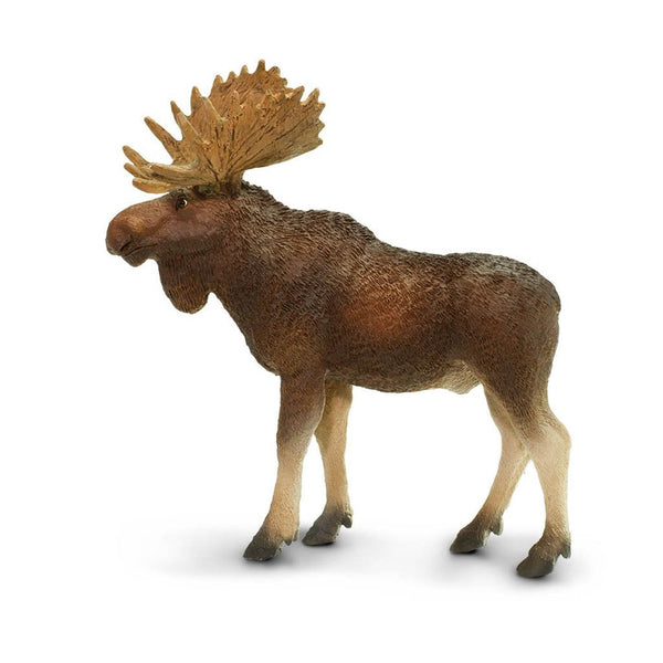 Safari Ltd Bull Moose-SAF181029-Animal Kingdoms Toy Store