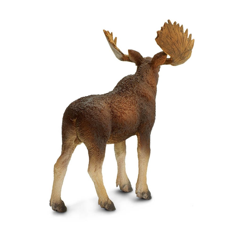 Safari Ltd Bull Moose-SAF181029-Animal Kingdoms Toy Store