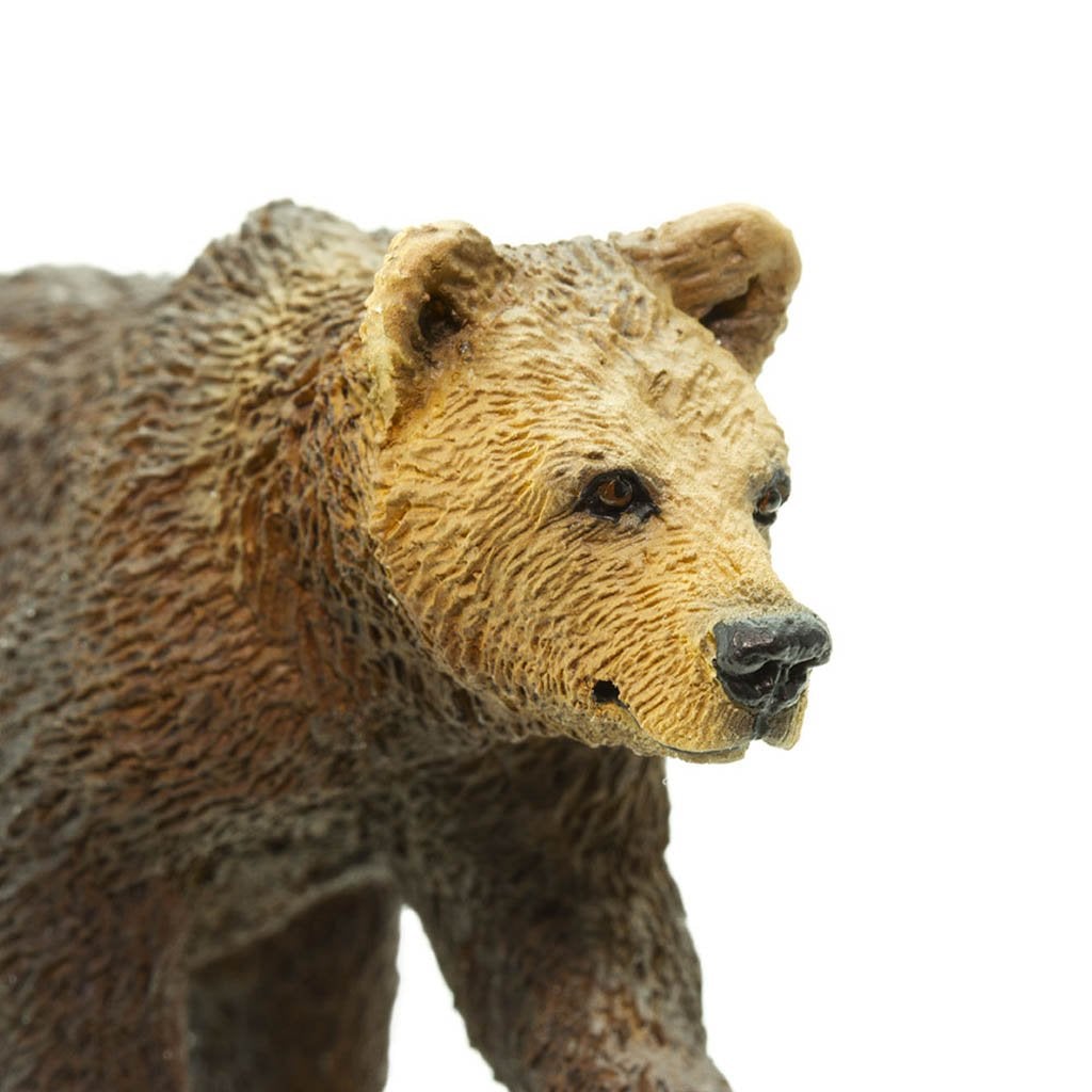 Safari Ltd Grizzly Bear Cub-SAF181429-Animal Kingdoms Toy Store